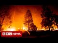 New video by BBC News on YouTube