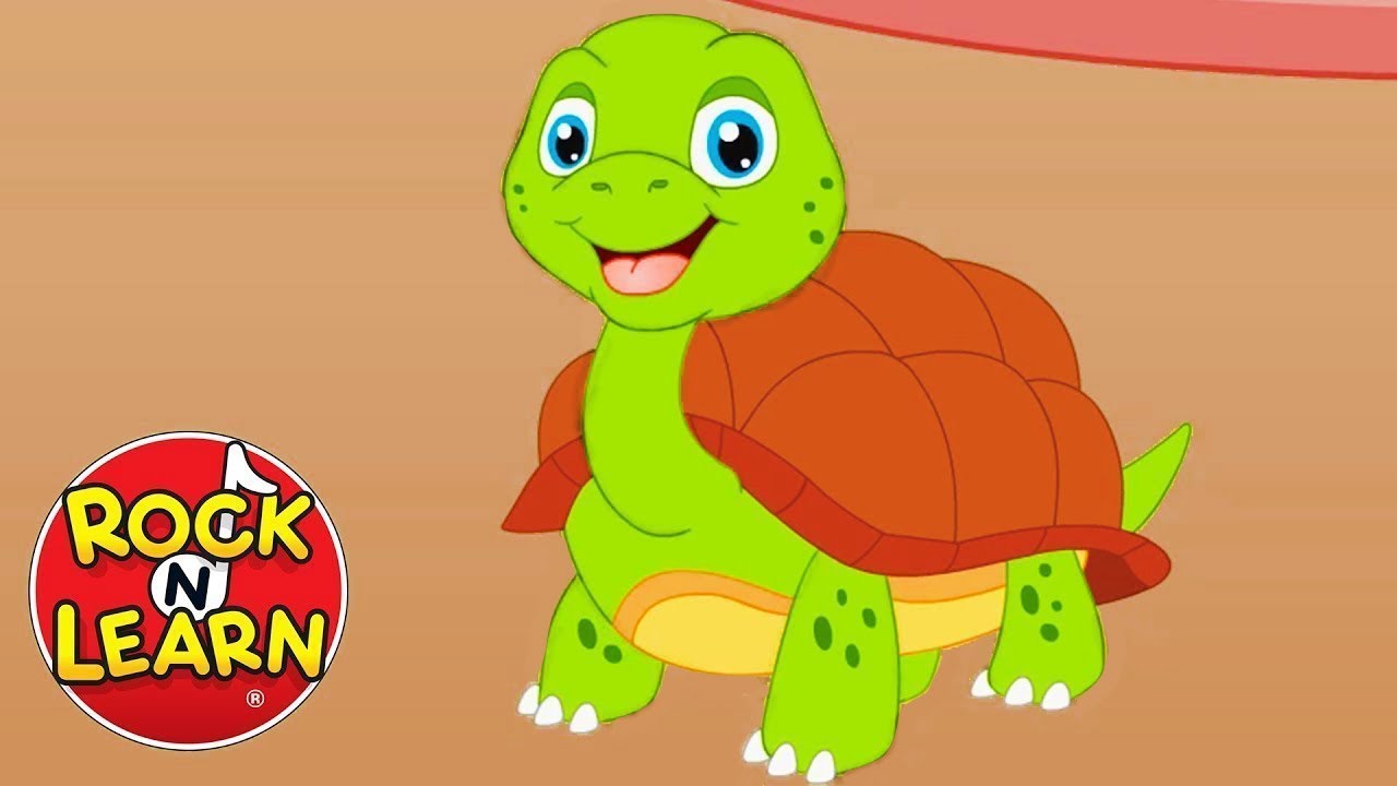 ⁣I Had a Little Turtle - Nursery Rhyme Song for Kids