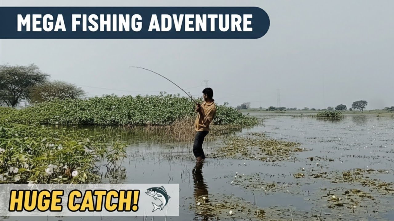 Big snakehead fish attack in wave frog | village fishing video | #crazynaik 