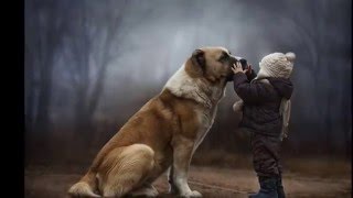 Elena shumilova best photo compilation screenshot 3