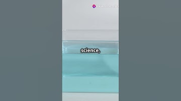 Why Does Ice Float? The Science Explained! #chemistry
