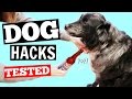 Life Hacks for Dog Owners TESTED