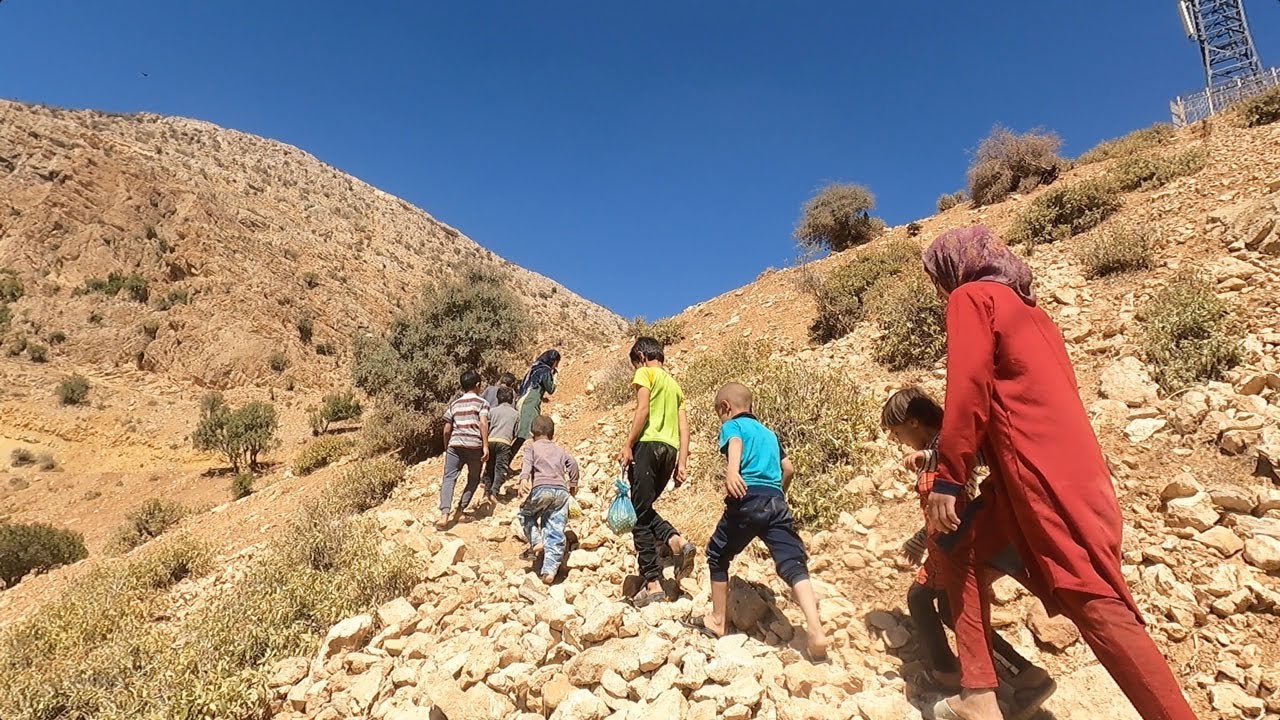 Piking Yellow Hawthorn _ the nomadic lifestyle of Iran