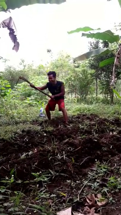 Nuruti gengsi ra madang.