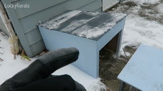 racoon proof cat feeder