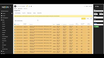 NEON SOFT Billing Overview Demo