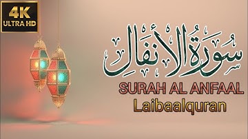 Tadabbur Surah Al-Anfaal سورة الأنفال I Ismail Ali Nuri