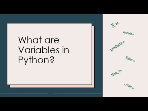 PYTHON BASICS 101: What are Variables in Python?