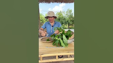 Lâm cỏ | cây cát lồi giúp chữa đau nhức phong thấp, thấp khớp #lamco #shorts