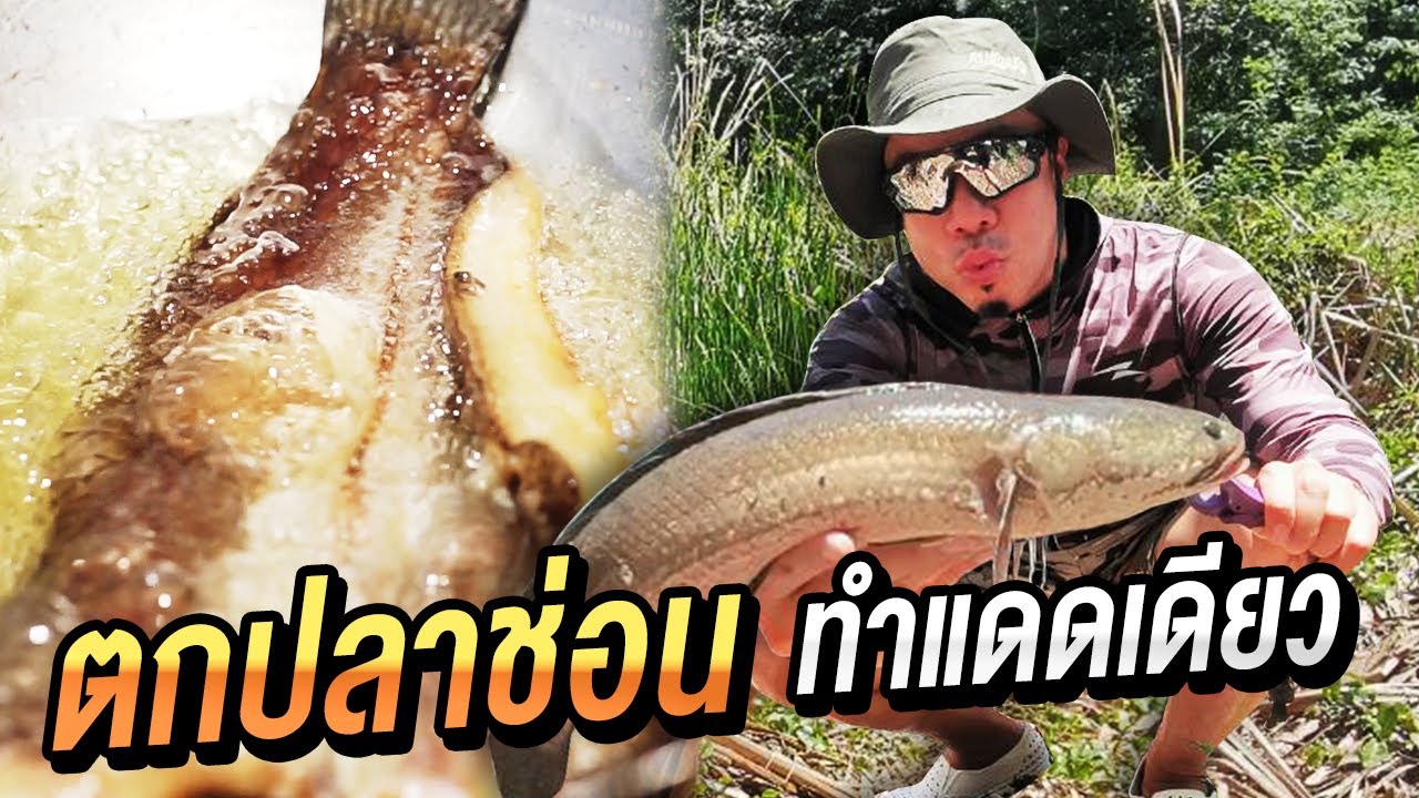 ตกปลาบุฟเฟ่ต์! ล่าไอช่อนมาทำแดดเดียว! [คนหัวครัว] EP.97