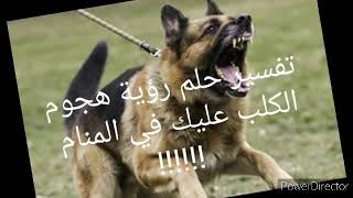 تفسير حلم رؤية الكلب يهاجمك في المنام !!!! ...أحذر من عدو بوجة صديق 