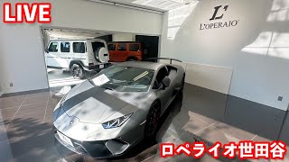 【LIVE】ロペライオ世田谷をご紹介致します！