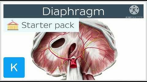 Std : 5.Sub: E.V.S 1.Ls.no.21.Busy at Work - Our Internal Organs.