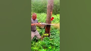 #tutorialfilter