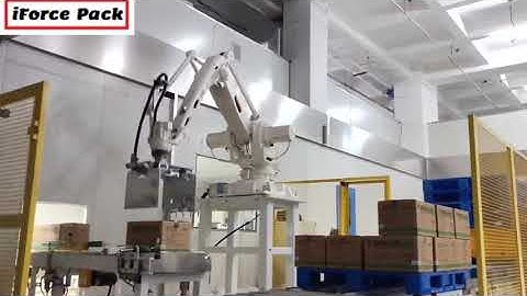 Carton box robot hand picking up sorting palletizing machine palletizer