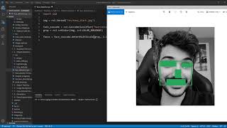 Face Detection con Python e OpenCV (HAAR Cascade a.k.a Viola Jones Algorithm)