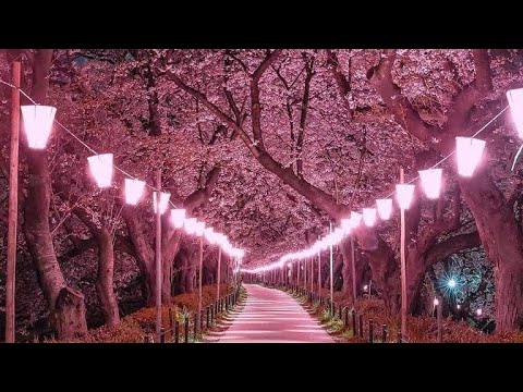 أعظم وأقوى رقيه شرعيه لتدمير العين والحسد والسحر عبد الرحمن مسعد بدون اعلانات مناظر طبيعيه خلابه 