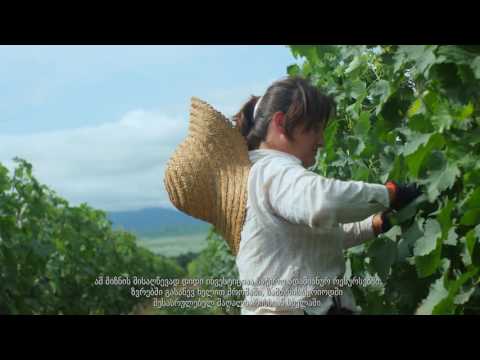 Château Mukhrani | Winemaker • შატო მუხრანი | მეღვინე