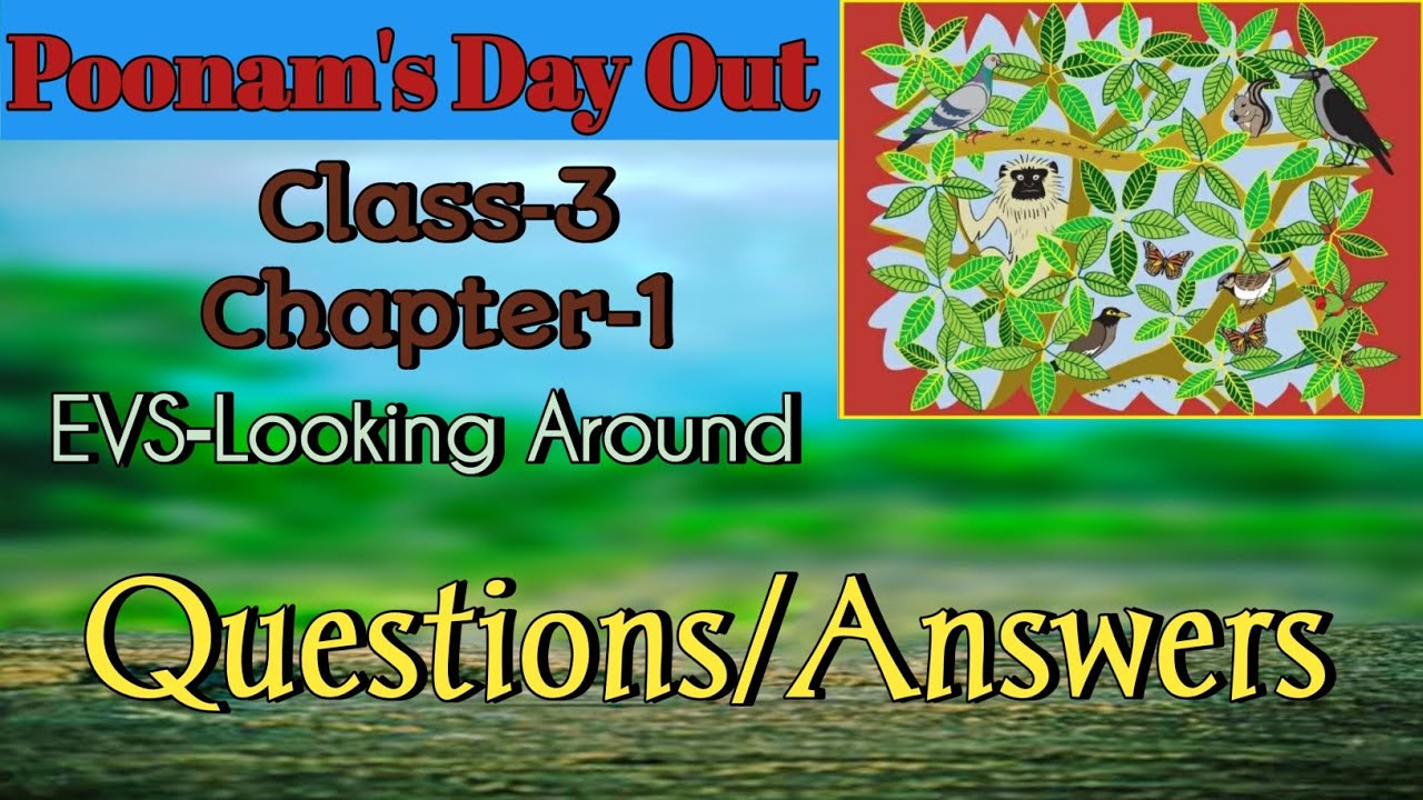 Poonam's Day Out Class 3 Chapter‐1 EVS Question/Answer @NCERTTHEMIND ...
