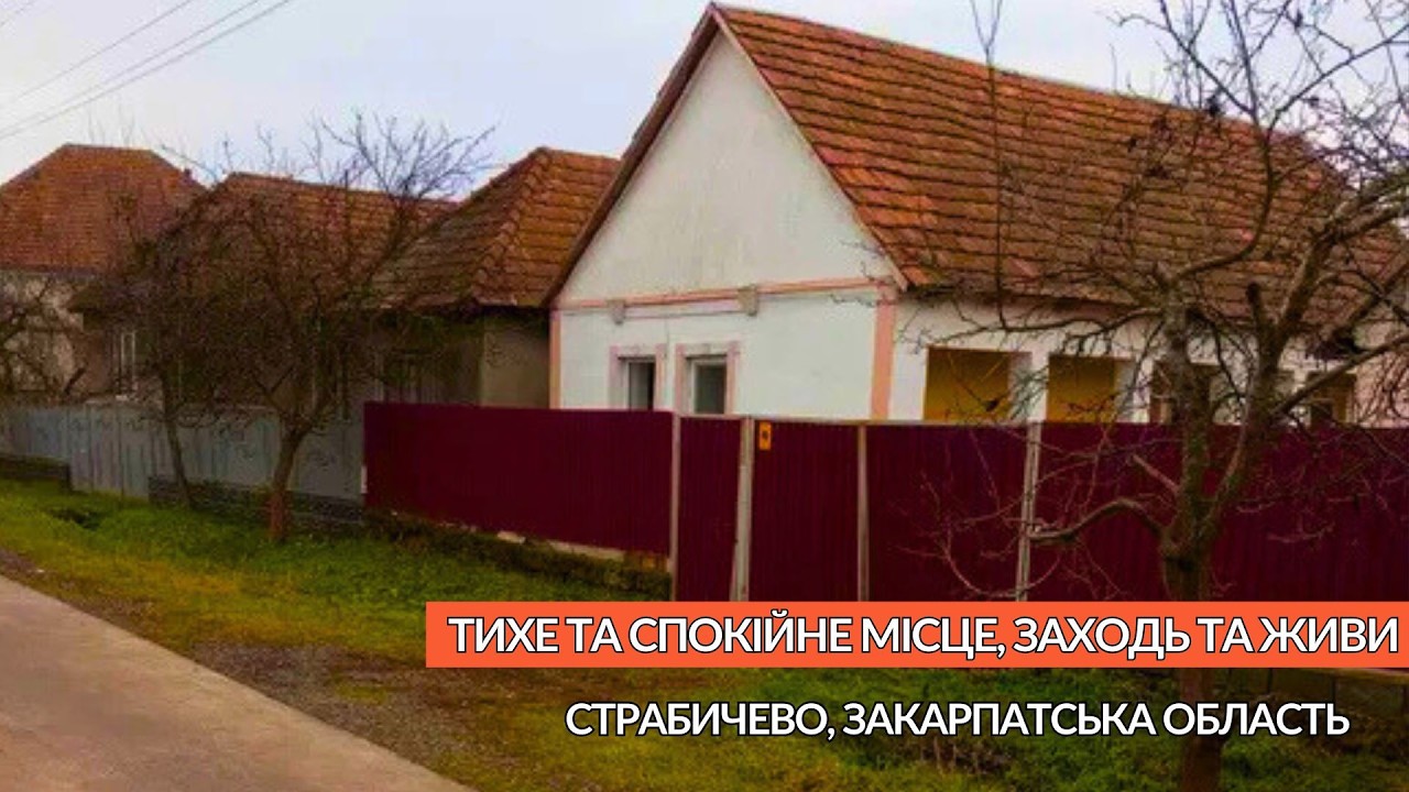 🏡Спокійне місце Будинок в селі На західній Україні Страбичево Закарпатська область Зручності