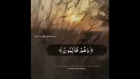 القارئ عبدالرحمن مسعد - سورة النحل حالات واتس