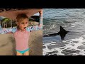 Little Girl Surfs with Big Shark in Hawaii