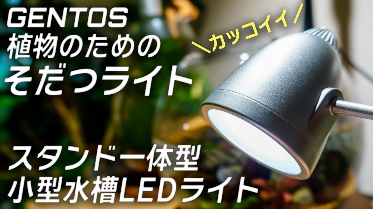 【人気商品】ジェントス (GENTOS) そだつライト PLUS+ (black Amazon.co.jp: ジェントス (GENTOS) そだつライト PLUS+ (black, 6.0W