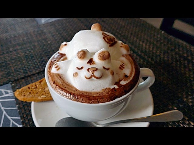 INCREDIBLE 3D COFFEE ART - CUTEST COFFEE YOU