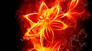 Jasper Blunk - Born In Darkness