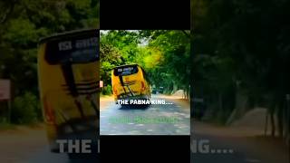 C-LINE BUS LOVER//JAMIL BUS LOVER