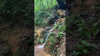 Mini waterfall 💗