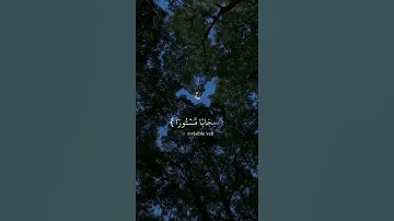 تلاوه خاشعه| القارئ سعيد الخطيب | تلاوه قصيره
