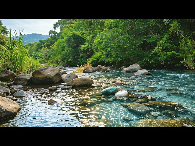 Deep Sleep with Forest River Sounds | Calm White Noise