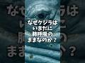 鯨がエラ呼吸にならない理由 #雑学 #豆知識 #雑学 #shorts