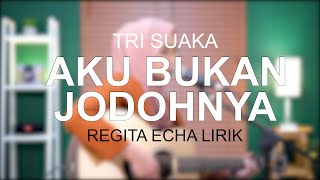 AKU BUKAN JODOHNYA - TRI SUAKA COVER BY REGITA ECHA LIRIK