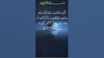 المصحف الكريم بتقنية ثمانية أبعاد * القارئ : الشيخ سعد الغامدي * سورة البقرة الآية 27-28