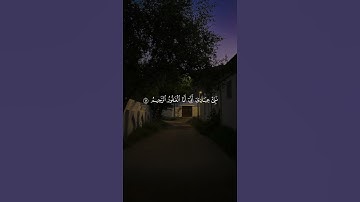 تلاوة #تلاوة_خاشعة #قران_كريم #اكسبلور #ارح_قلبك #قران_كريم #ارح_قلبك