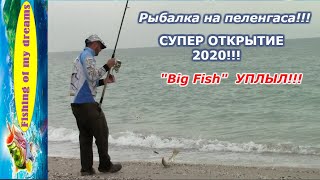 Рыбалка на пеленгаса!!!СУПЕР ОТКРЫТИЕ сезона 2020!!!"Big Fish" пока не мой!!!