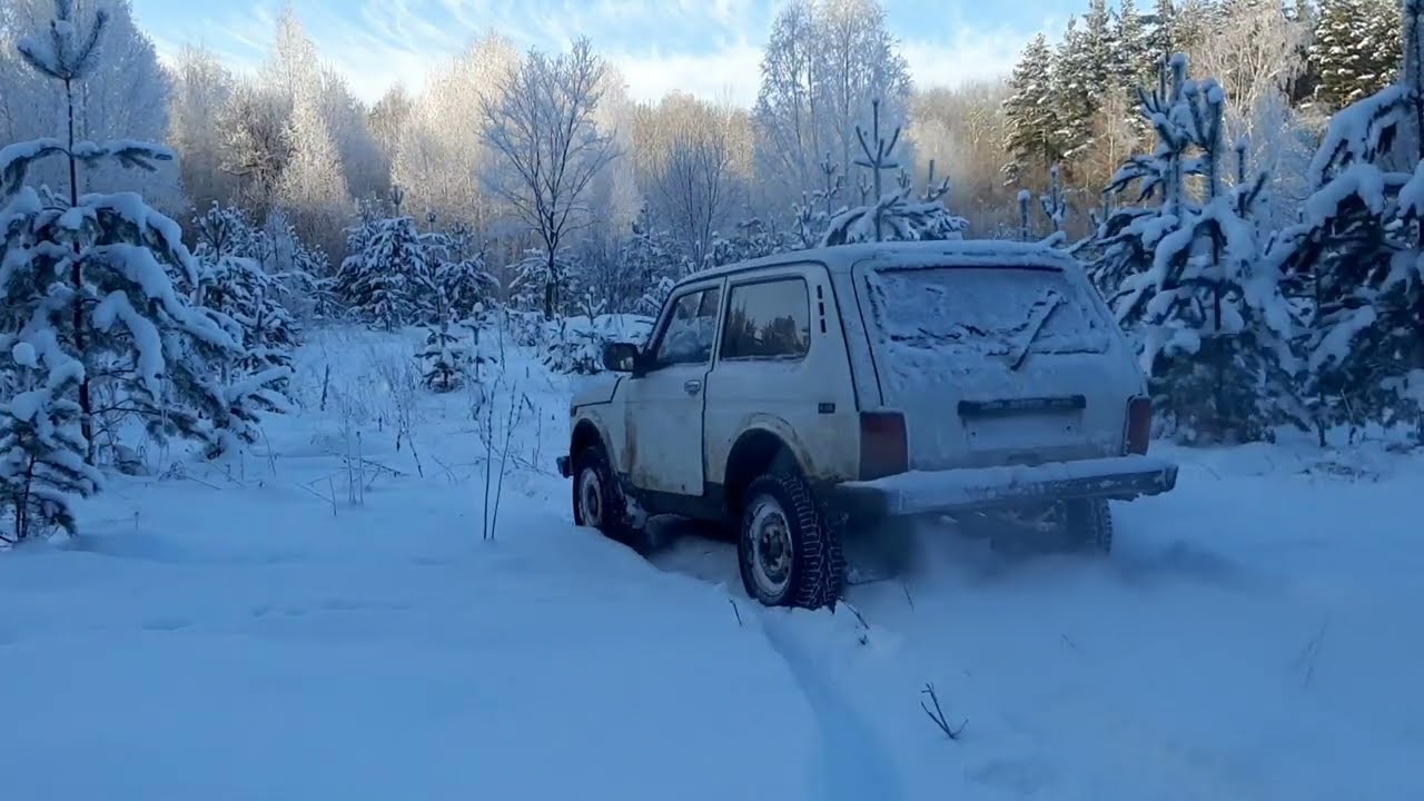 Нива в зимнем лесу - YouTube