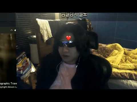 랄로에게 코인을 가르쳐주세요 냥