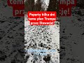 Plan Trumpa kilka dni temu poparty przez Słowację! #słowacja #trump #europe #Rosja #ukraina #shorts