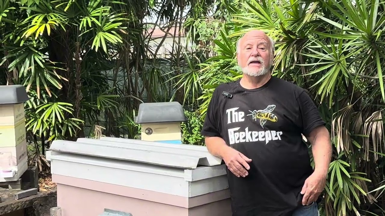 Что ожидать во время проверки — пчеловодство