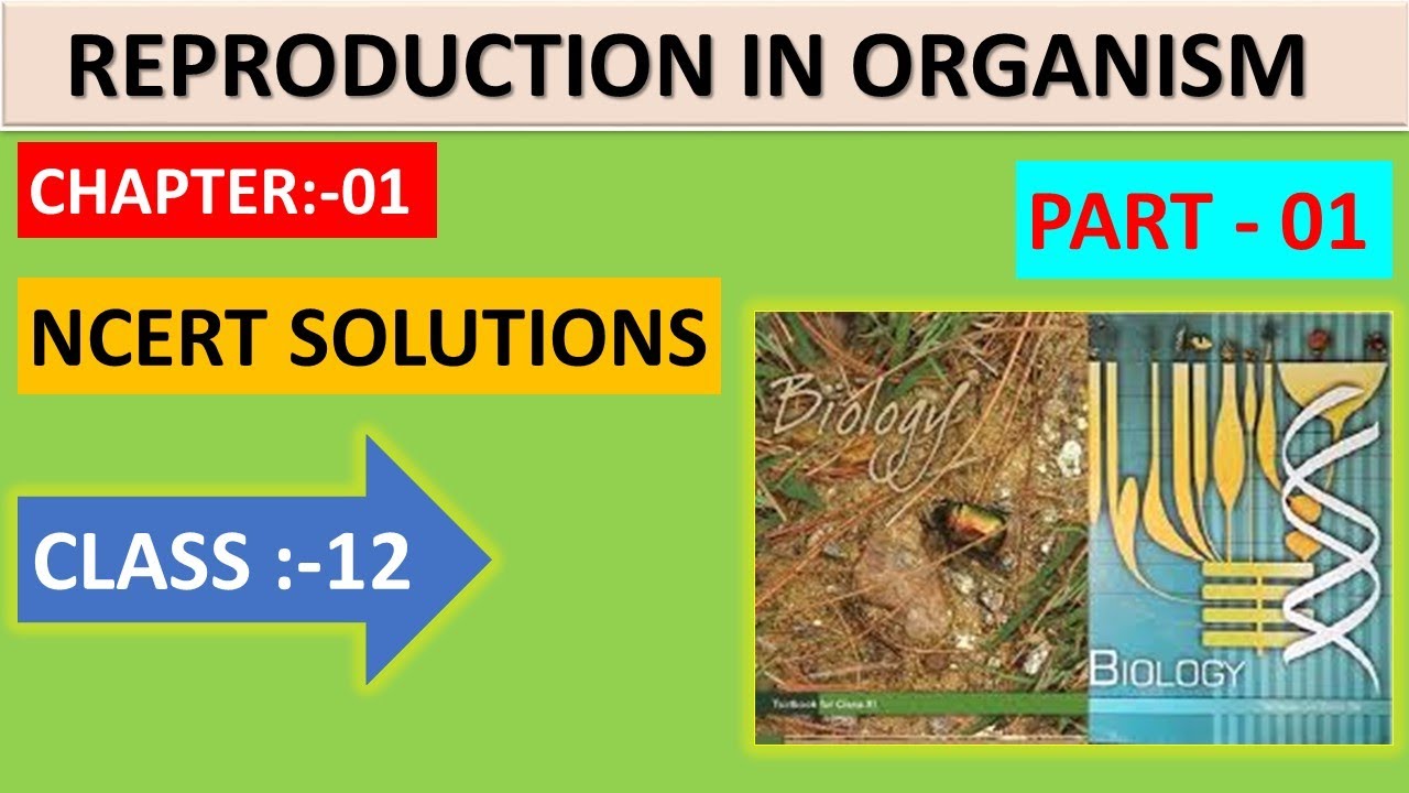 NCERT solutions of Reproduction in organisms | biology chapter 1| class ...