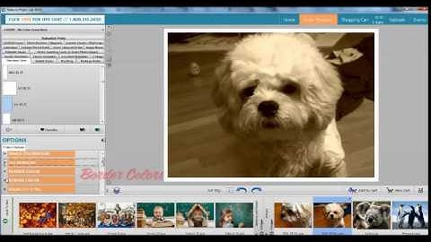 HOW TO: Order in ROES | Nations Photo Lab