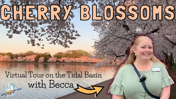 Washington DC's Cherry Blossoms Virtual Tour
