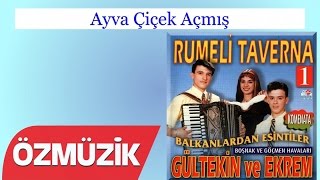 Ayva Çiçek Açmış - Rumeli Taverna 1  Resimi