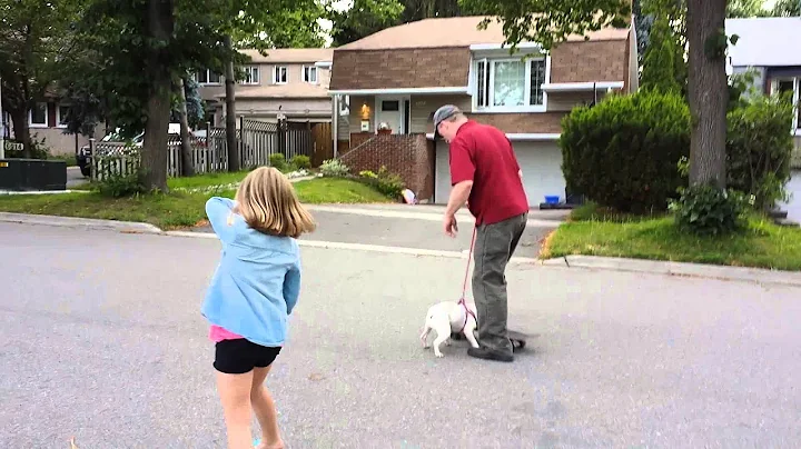 Vlog #1 ~ Skateboarding Dog