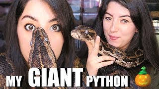 HUGE SNAKE | Burmese Python | My Biggest Pet Snake | Creature Feature