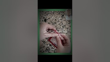 #ياسر_الدوسري #تلاوة_خاشعة #تلاوات #تلاوة_هادئة #القرآن_الكريم #اكسبلور #explore #fyp #foryou