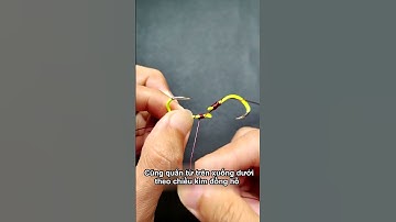 Câu Cá, Hướng Dẫn Buộc Móc Đôi Cho Dây Câu Đơn Giản   #cauca #fishing  #damecauca